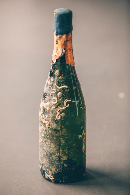 Riesling Grande Marée 2019 Brut -36-